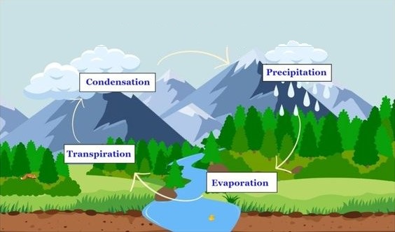 Schéma du cycle de l'eau : condensation, précipitation, transpiration, évaporation.